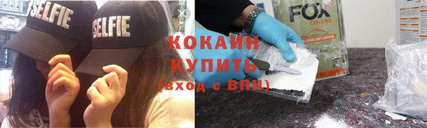 прущие грибы Приозерск
