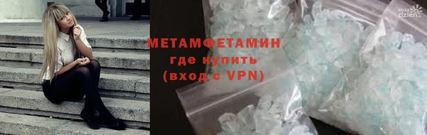 прущие грибы Приозерск