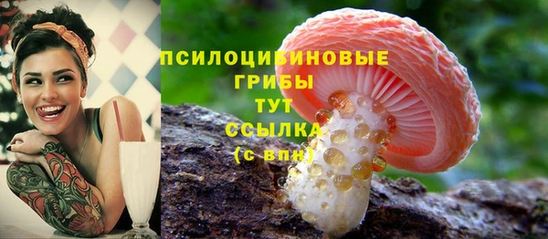прущие грибы Приозерск