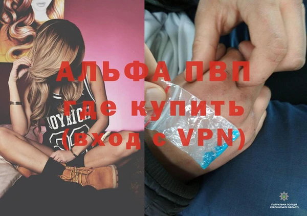 прущие грибы Приозерск