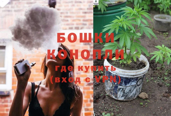 прущие грибы Приозерск