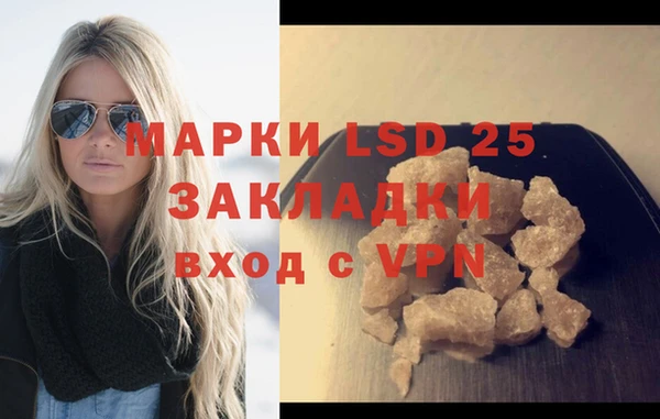 прущие грибы Приозерск